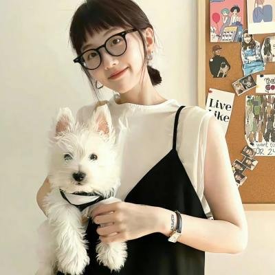 神探默多克第三季